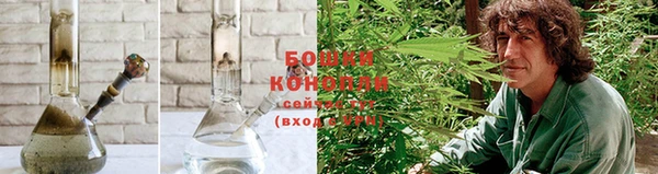 каннабис Арсеньев