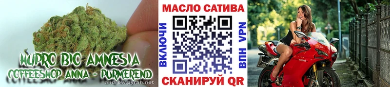 Дистиллят ТГК гашишное масло  продажа наркотиков  Сосенский 